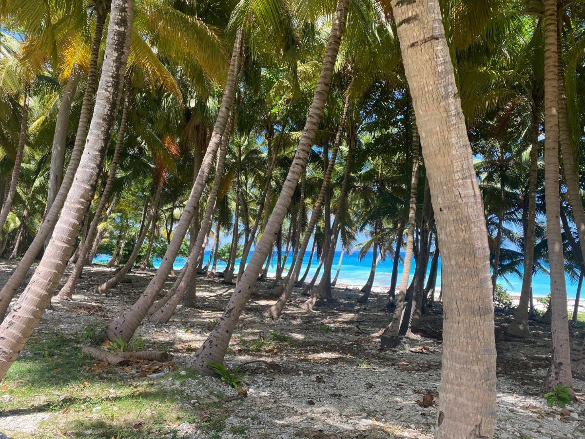 Beachfront Apartment, Quiet 4 Beds, 1 Bath, Ac, Wi-Fi, Hot Water, In Paraiso Near Los Patos Экстерьер фото
